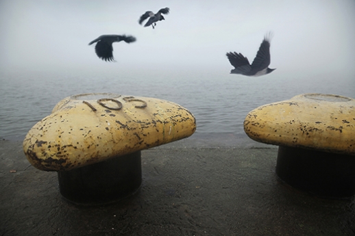 Quay of  Crows.JPG